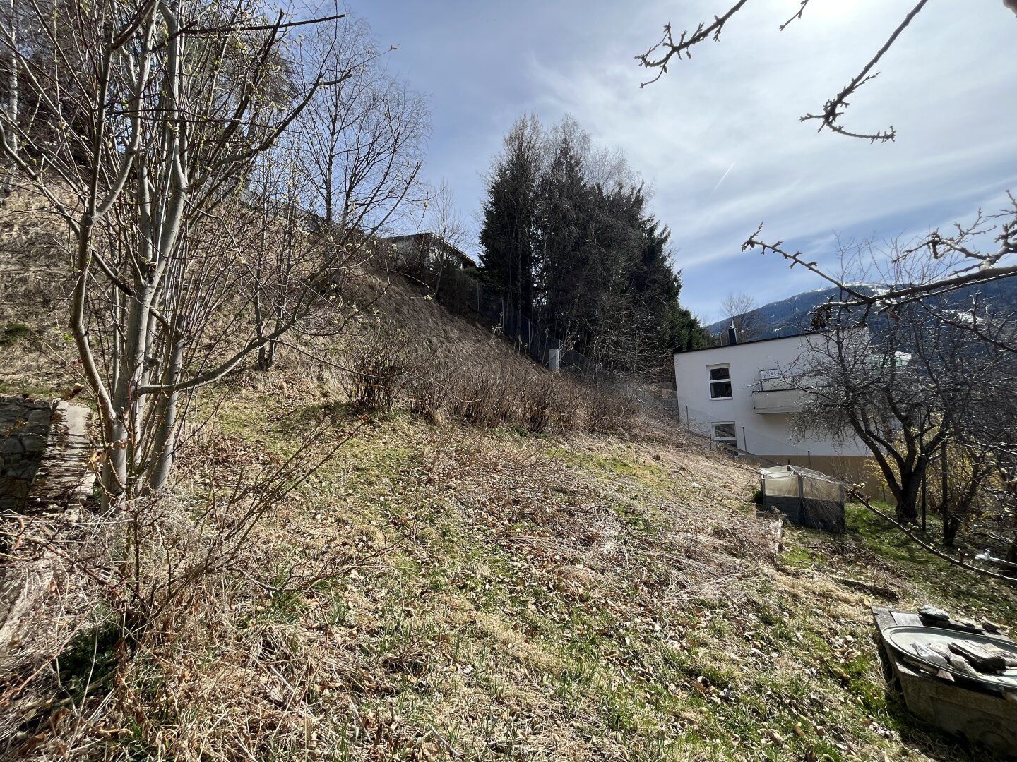 Grundstück mit Altbestand in Steinach am Brenner - Ansicht 3