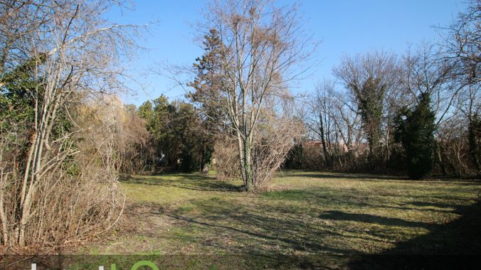 Gartenflaeche