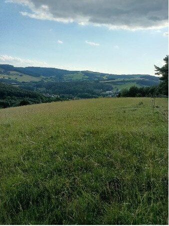 Traumhaftes Grundstück nahe Neulengbach/Altlengbach - Ansicht 2