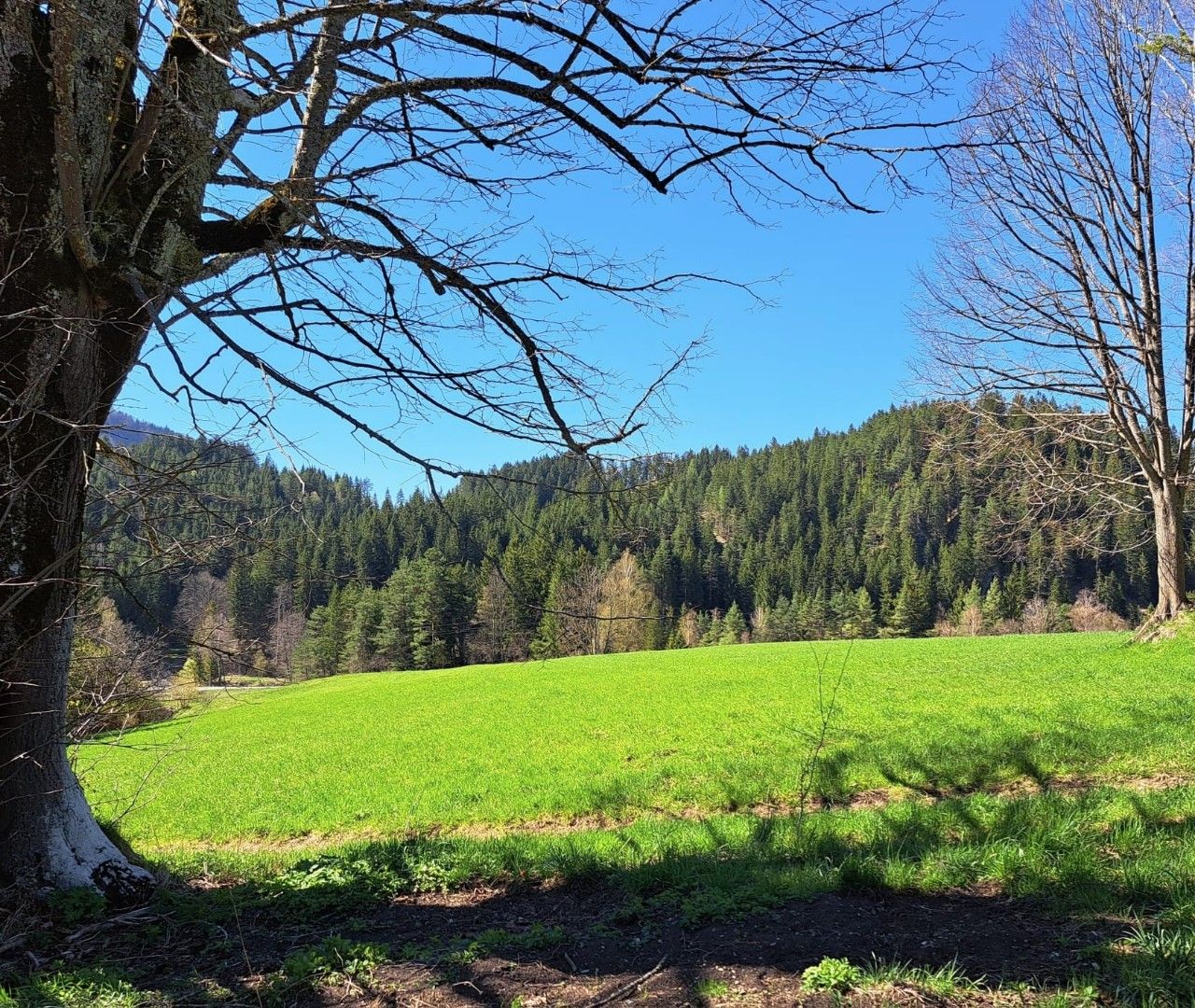 Traumhafte Liegenschaft im Schneeberg-/Raxgebiet, 15.000 m² Eigengrund (Bau-/Grünland) - Mehr