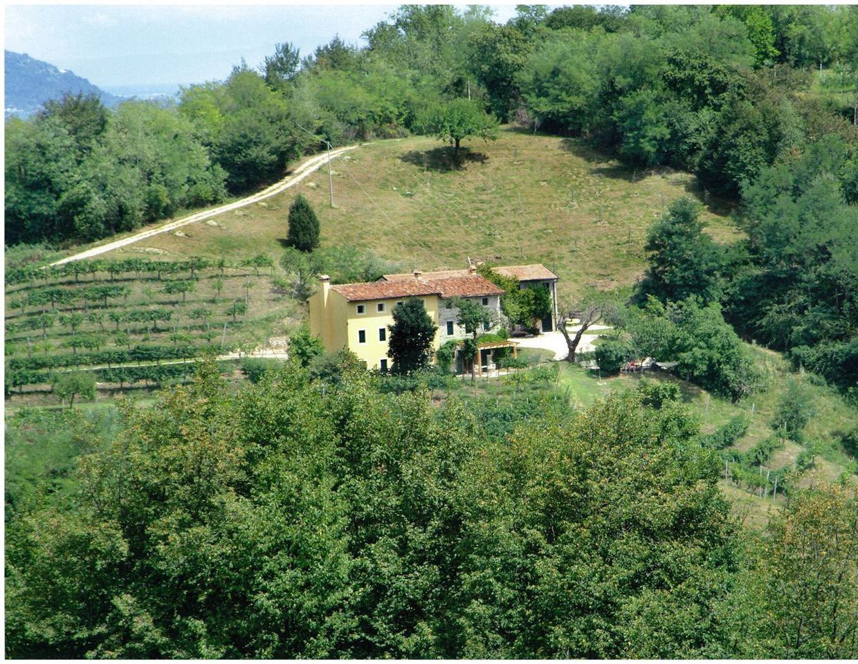 Idyllisch gelegenes Wein- & Landgut mit eigenem Prosecco D.O.C.G.-Weingarten und Olivenhainen