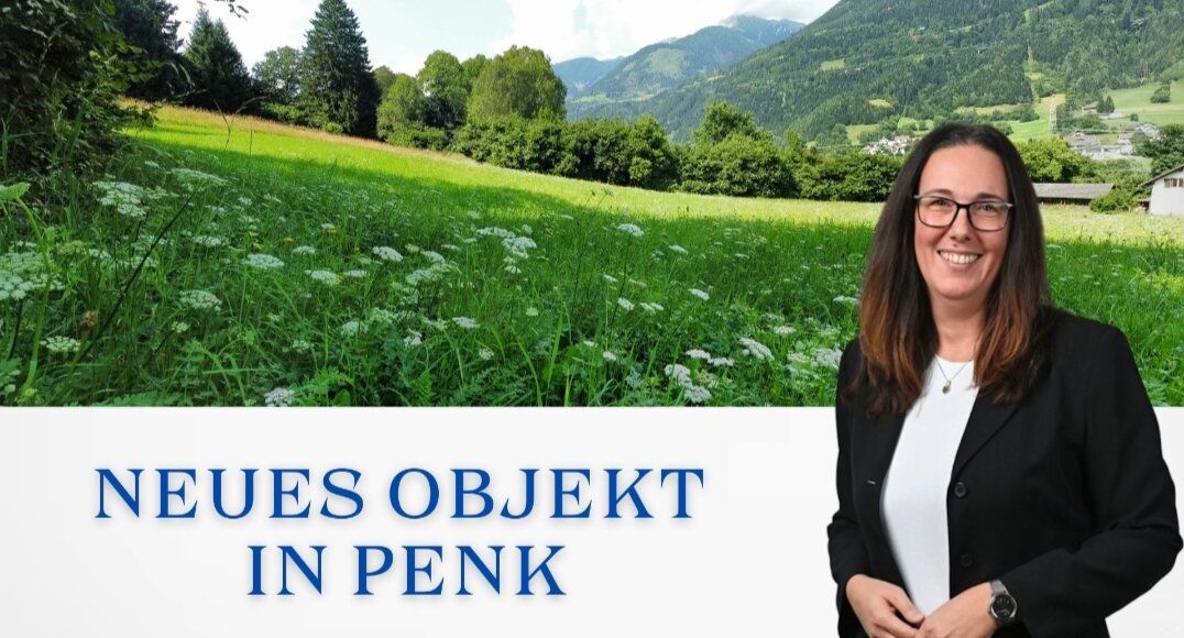1 Grundstück - Ihr neues Zuhause in einer malerischen Lage in Penk. Ideal auch für Tierhaltung/Landwirtschaft. - Ansicht 2