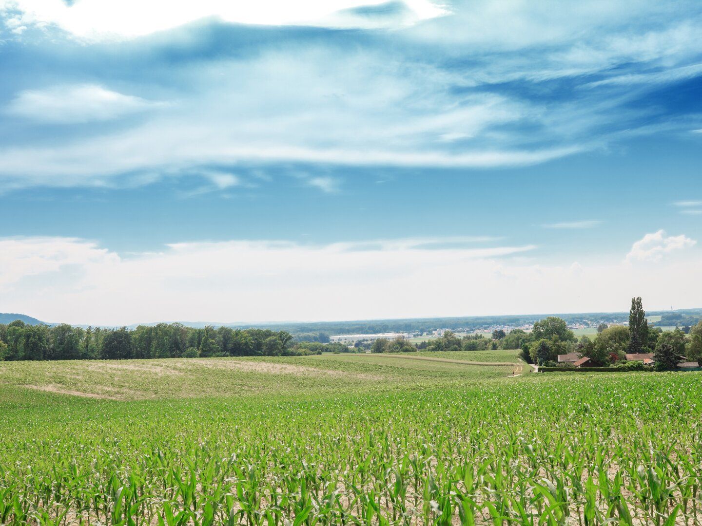 Baugrundstück in absoluter Bestlage von LEOBENDORF - BURG KREUZENSTEIN - Ansicht 4