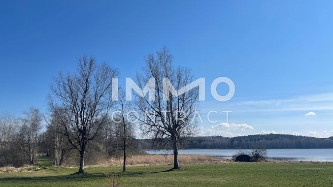 Blick zum Teich