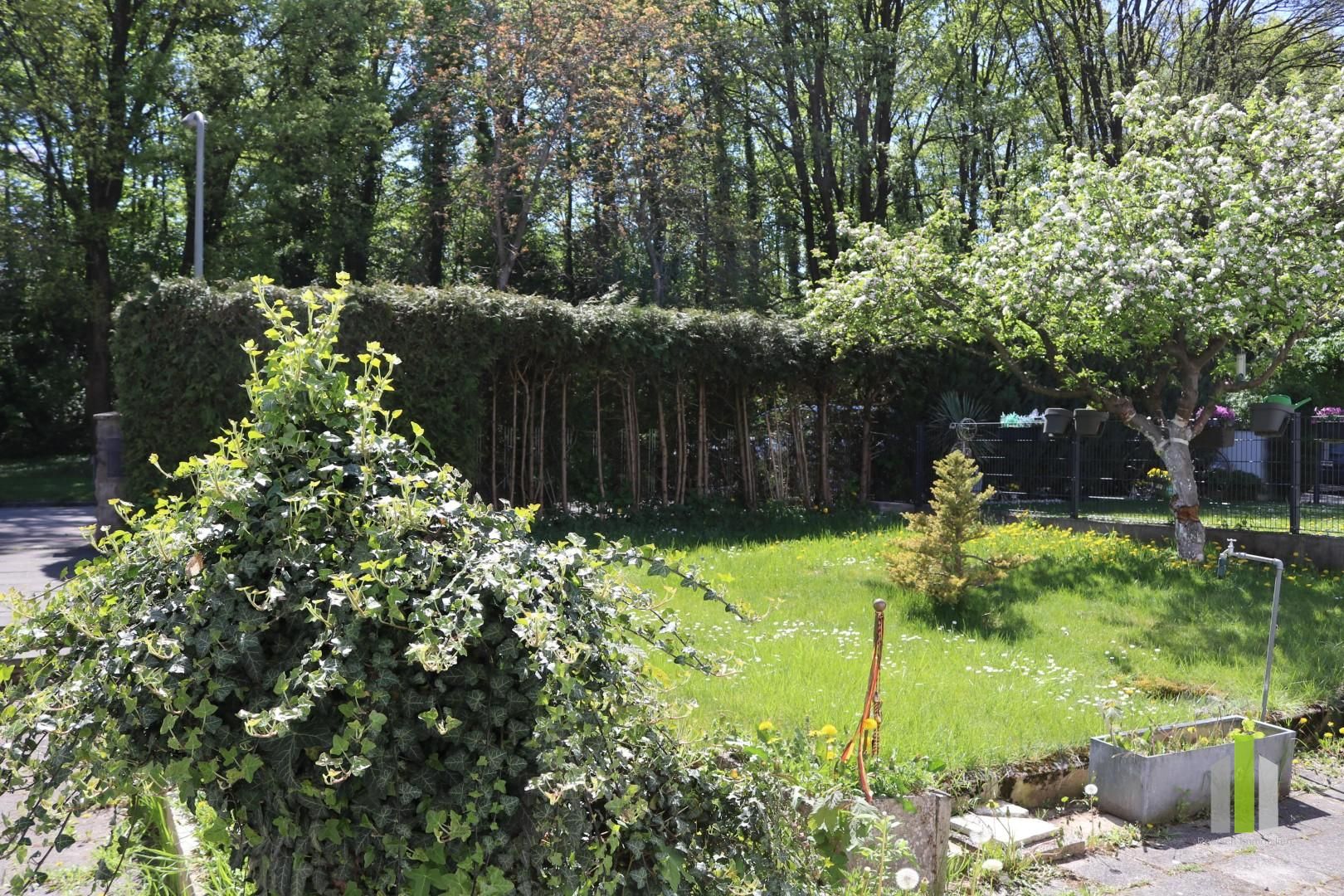 Wohngrundstück mit Altbestand in Freimann