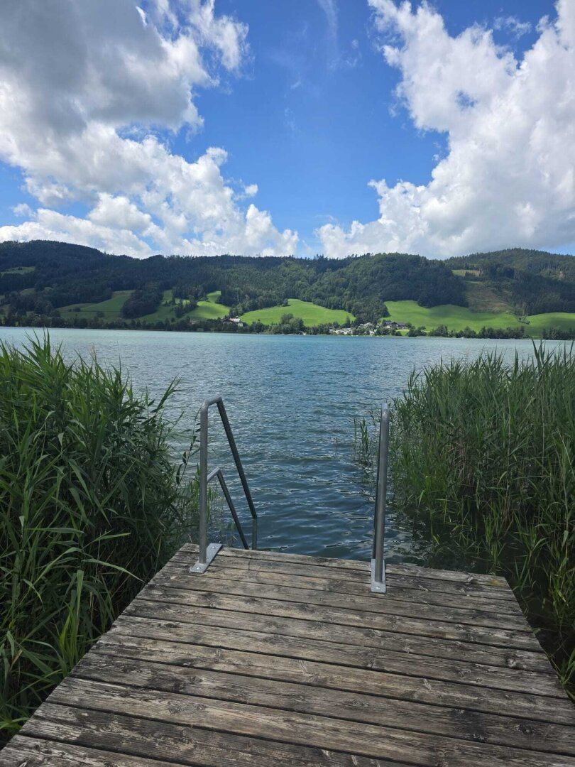 Designer Loft mit Swimspa am Irrsee