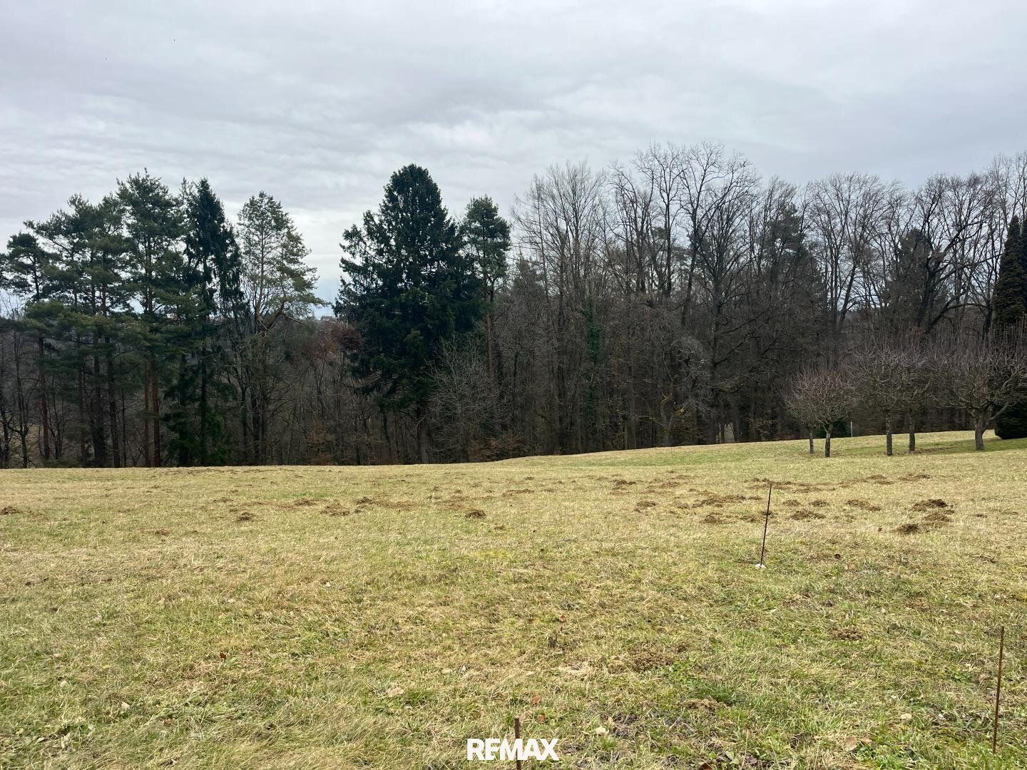 Baugrundstück in absoluter Ruhelage