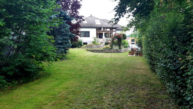 Garten VIII