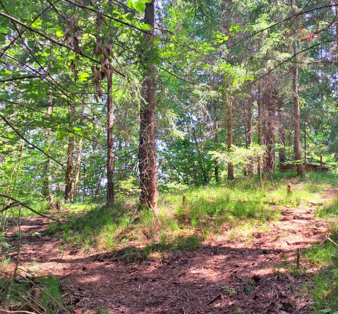 Traumhafte Liegenschaft im Schneeberg-/Raxgebiet, 15.000 m² Eigengrund (Bau-/Grünland) - Ansicht 4