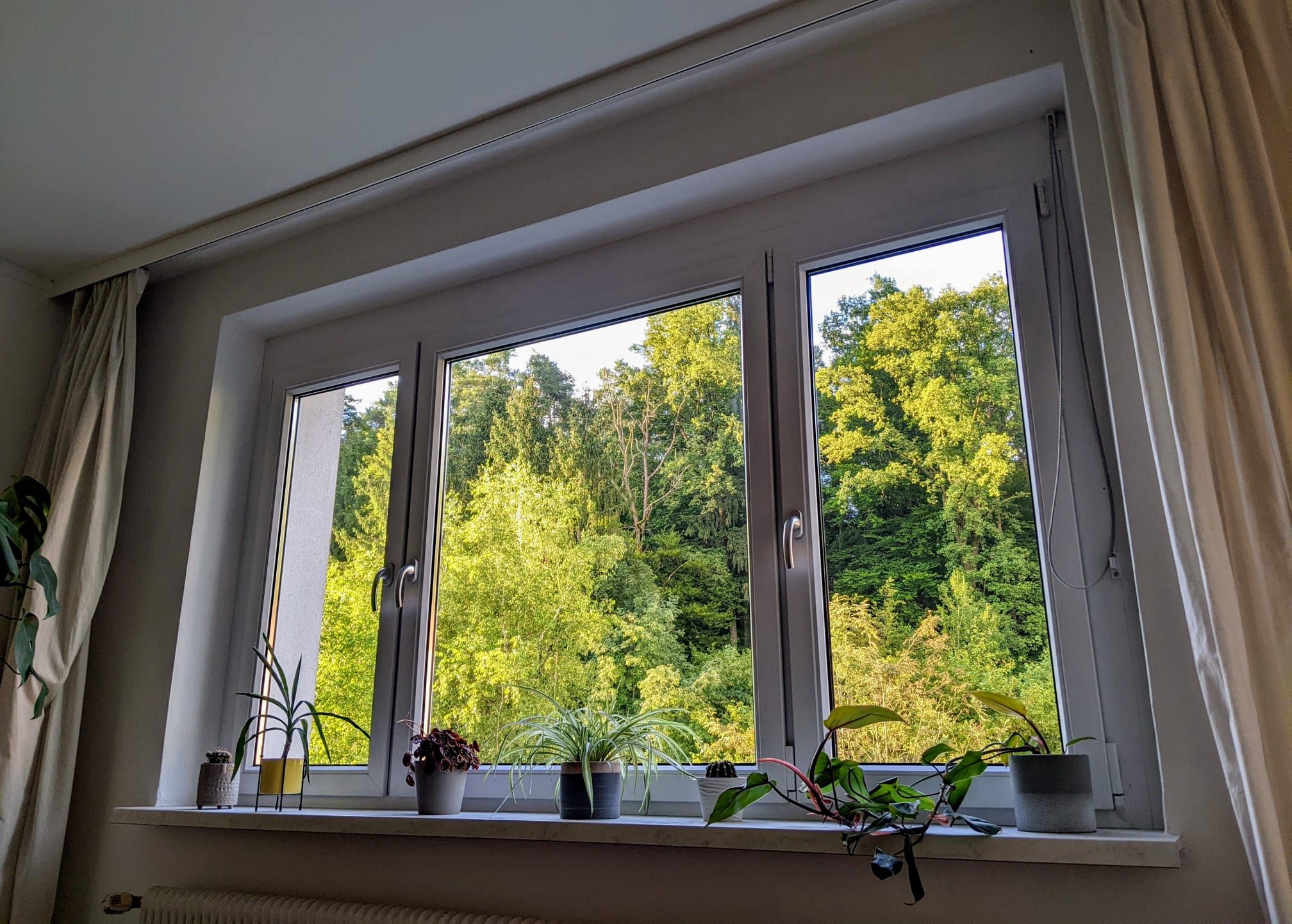 Sonnige Wohnung in der Ragnitz