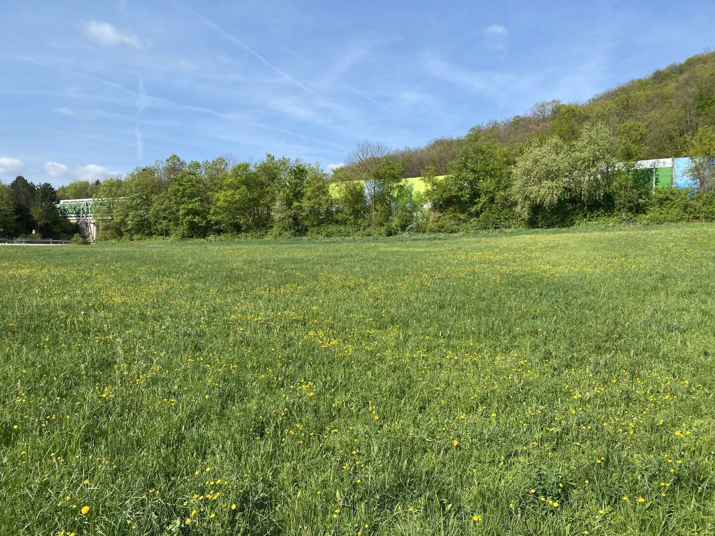 Großes Grundstück 4.267m² in Weissenbach/Hinterbrühl mit vielen Möglichkeiten! - Ansicht 2