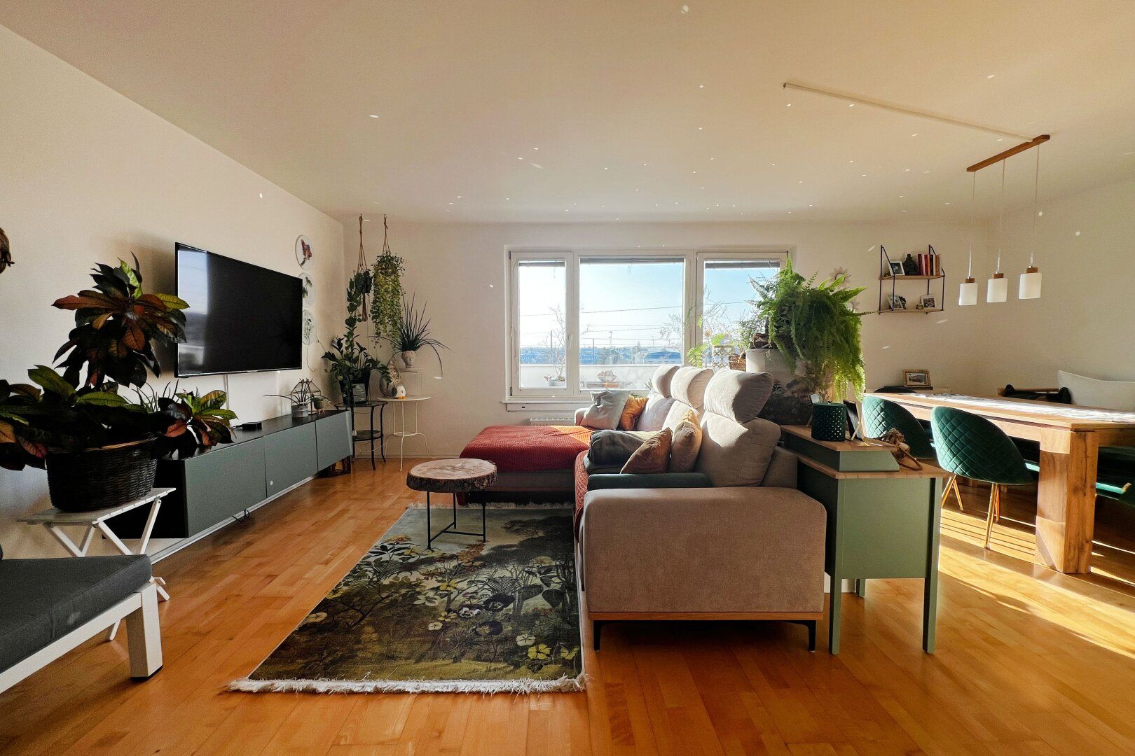 Reizendes Dachgeschoß-Juwel: zwei Terrassen und Kahlenbergblick in Floridsdorf