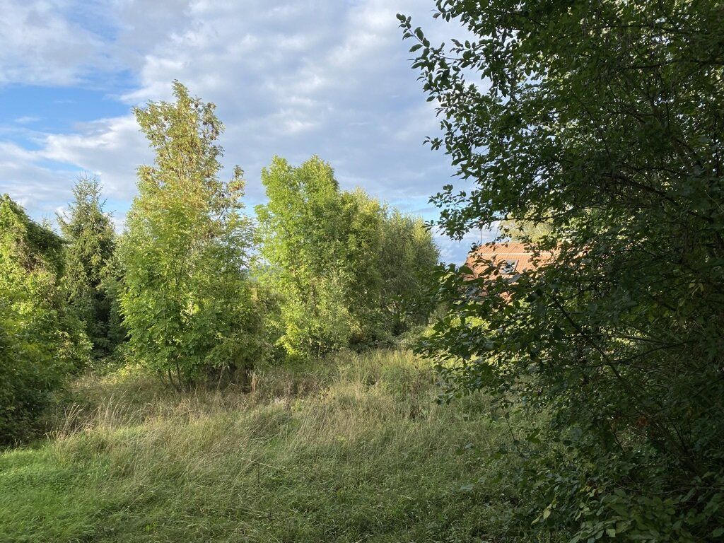 PREISREDUKTION! 973 m² Grundstück in absoluter Grünruhelage 1140 Wien ideal für ein Eigenheim ! - Ansicht 4