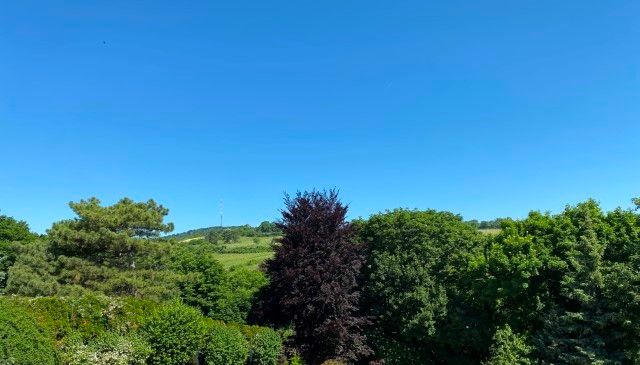 saniertes Reihenhaus mit Blick auf den Kahlenberg *Toplage in Döbling - Unterer Schreiberweg*