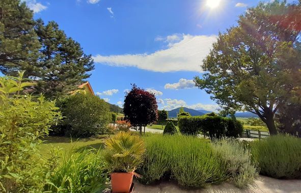 Aussicht Terrasse