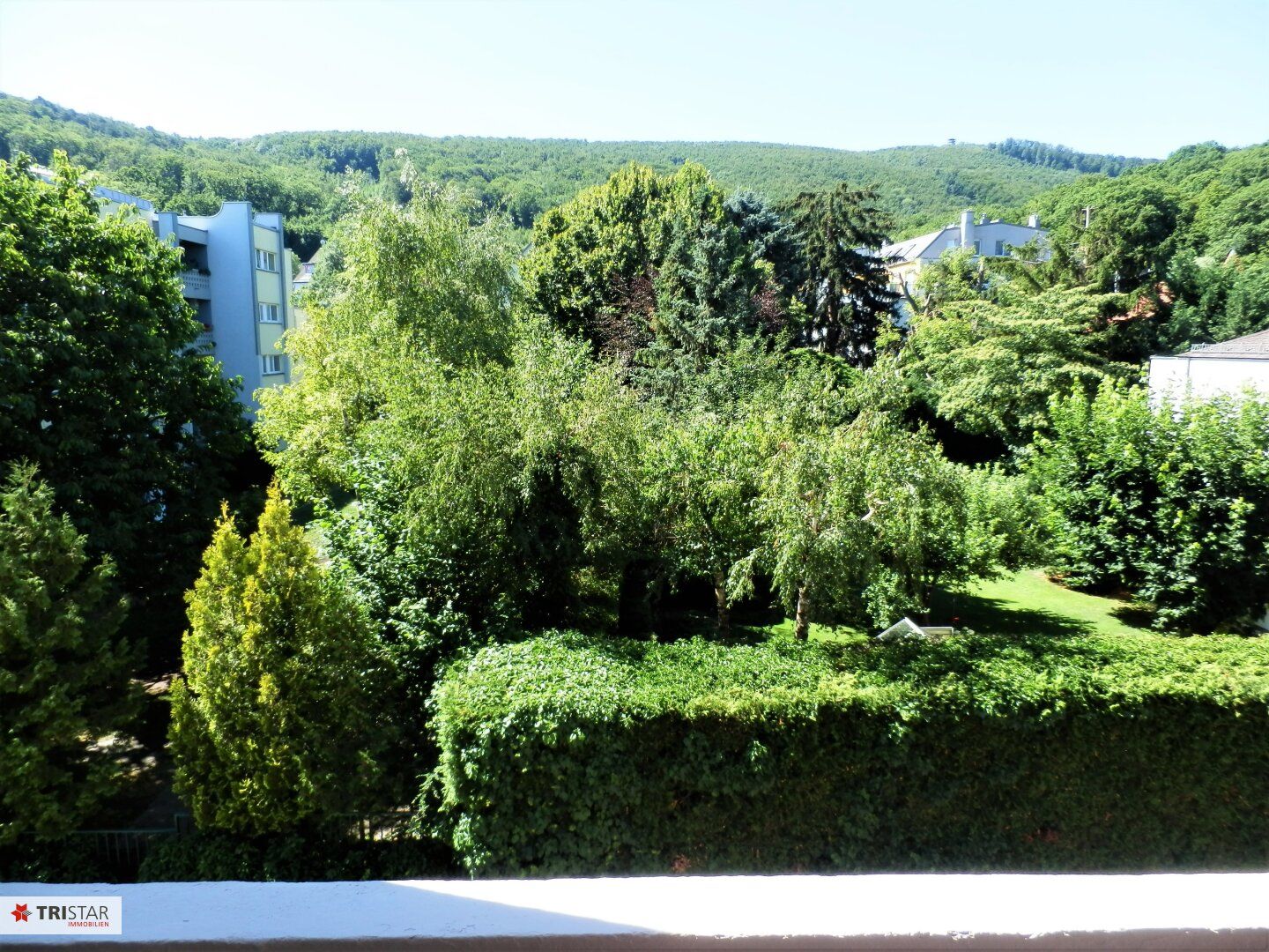 Geräumige Loggia-Wohnung mit schönem Grünblick