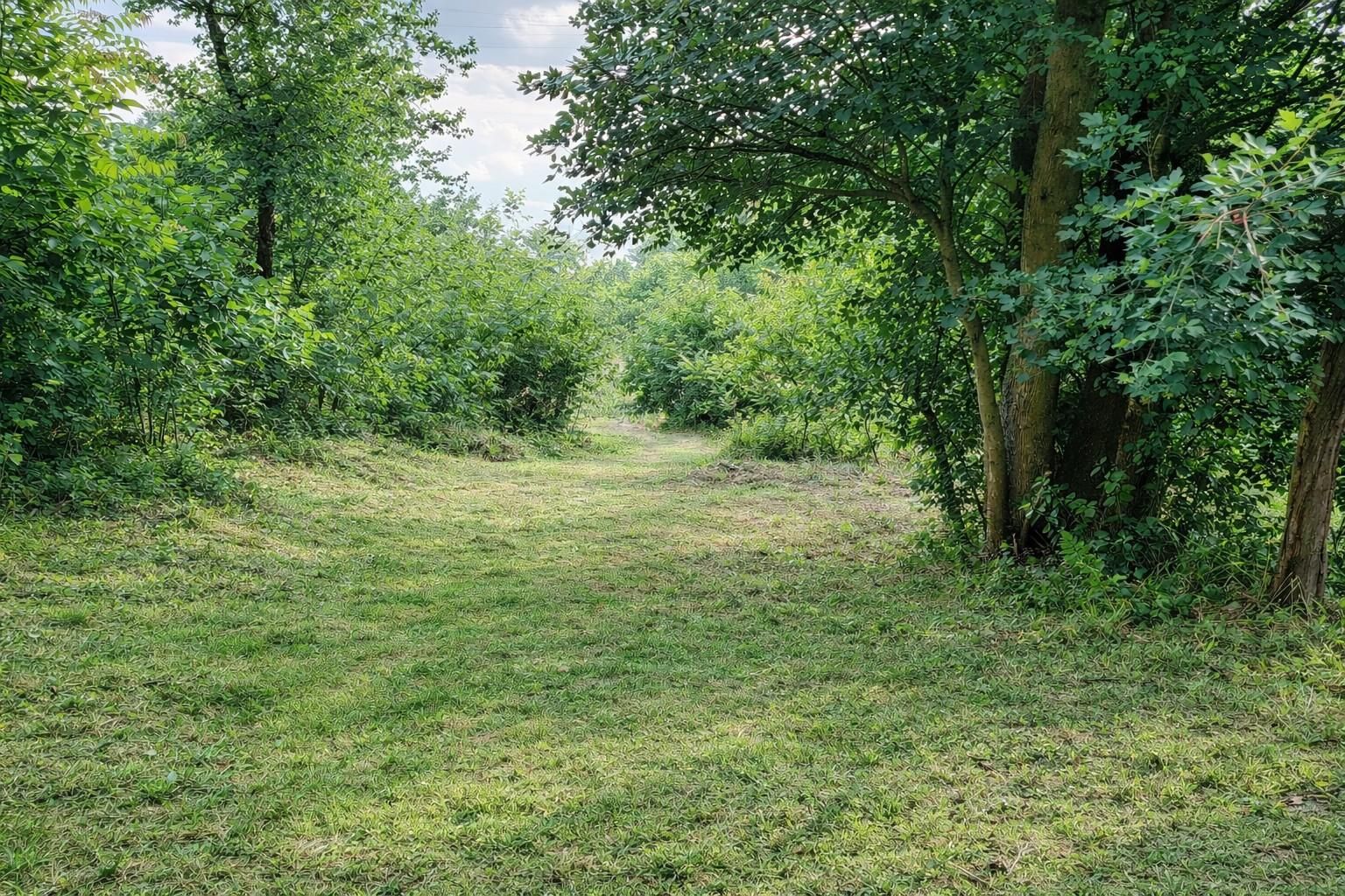 Natur vor der Haustür - Grundstück mit Weitblick und Grünlandanschluss - Ansicht 3