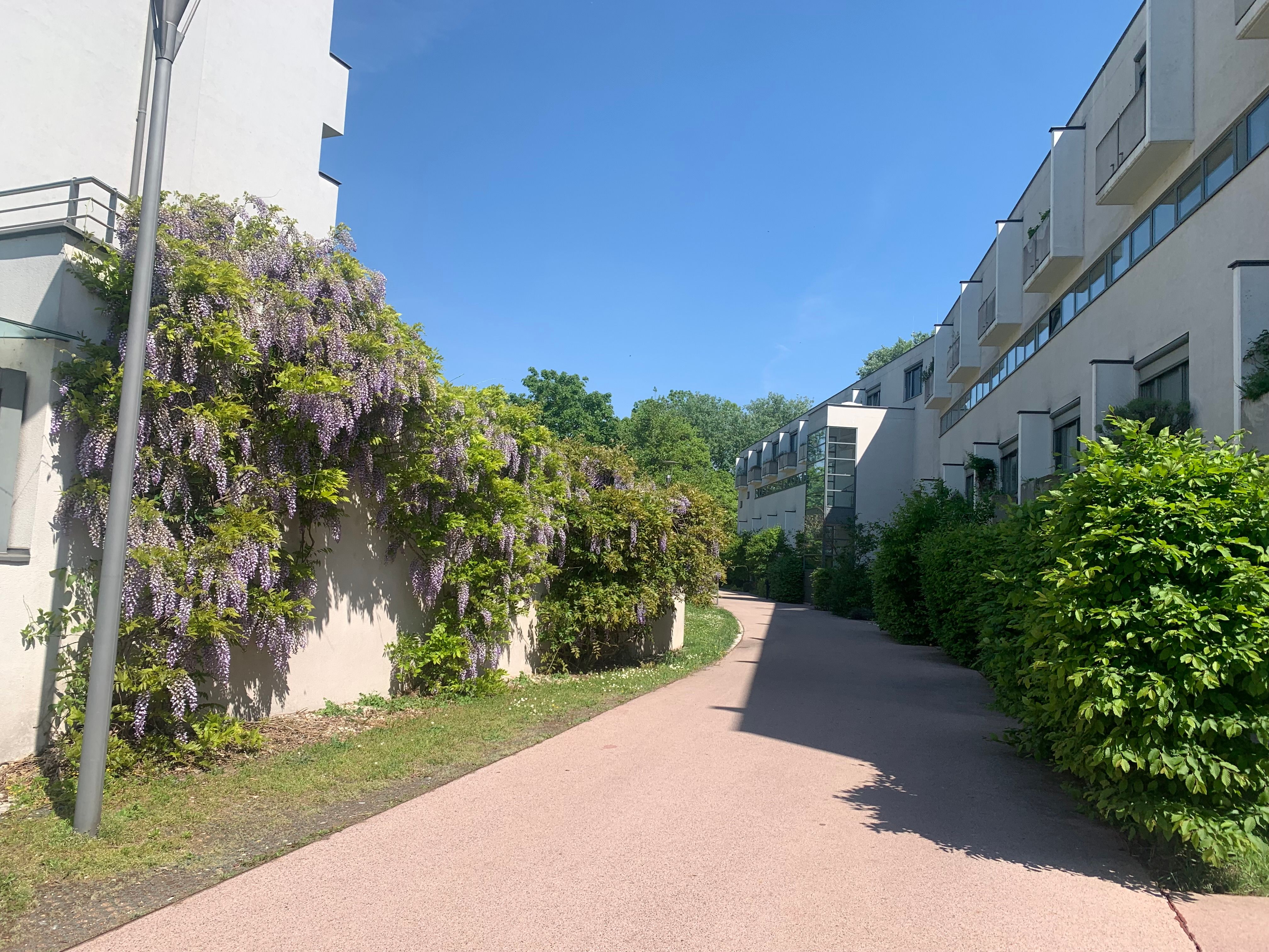 4 Zimmer Maisonette Wohnung mit Terrasse und Garage nur 3 Gehminuten zu den Stegen der Alten Donau