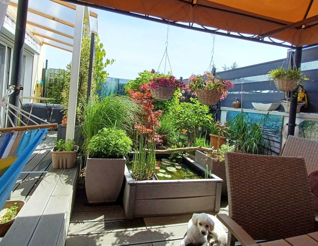 Traumhafte Eigentumswohnung mit Dachgarten- und Terrasse!!