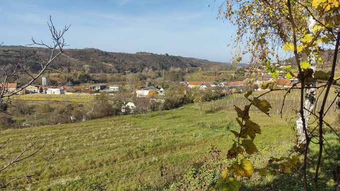 Blick1