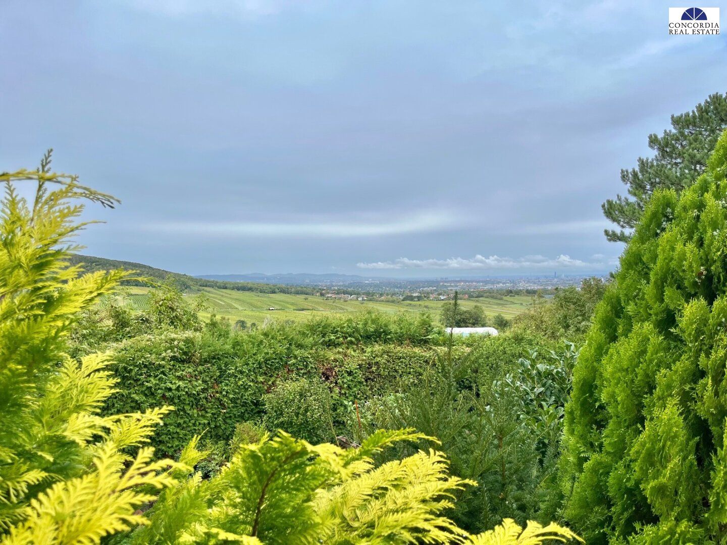 Einfamilienhaus in traumhafter Lage mit unglaublichem Fernblick