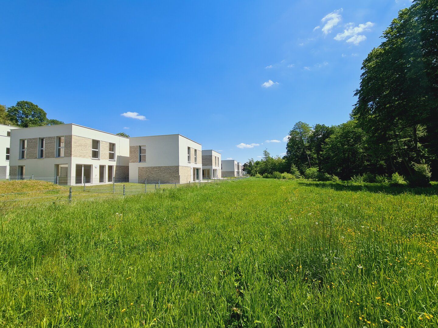 ISTA Family Homes LIVING WOODS
