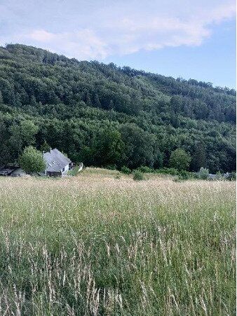 Traumhaftes Grundstück nahe Neulengbach/Altlengbach - Ansicht 3