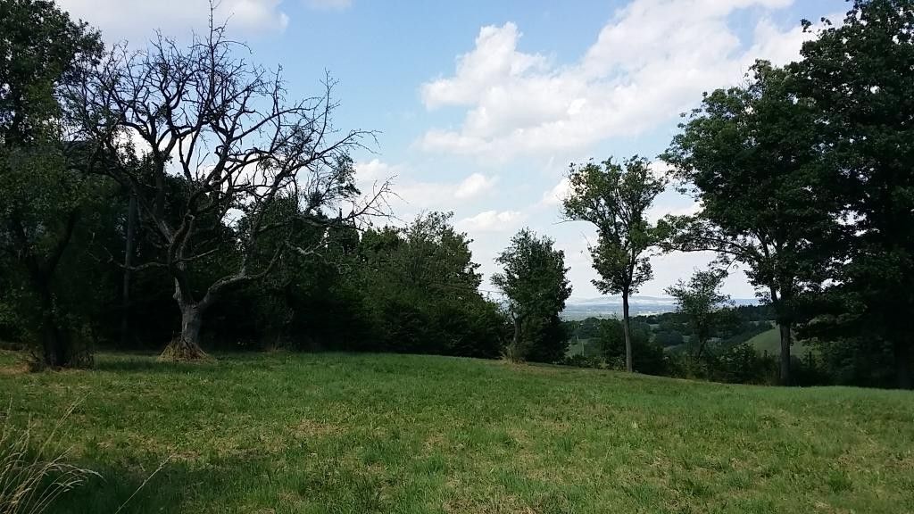 Grünland Tullnerfeld Aussichtslage - Ansicht 3