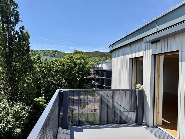 GRÜNE STADTVILLEN - 3 Zimmer mit Balkon und Sichtholz in der Wohnung! | Provisionsfrei!