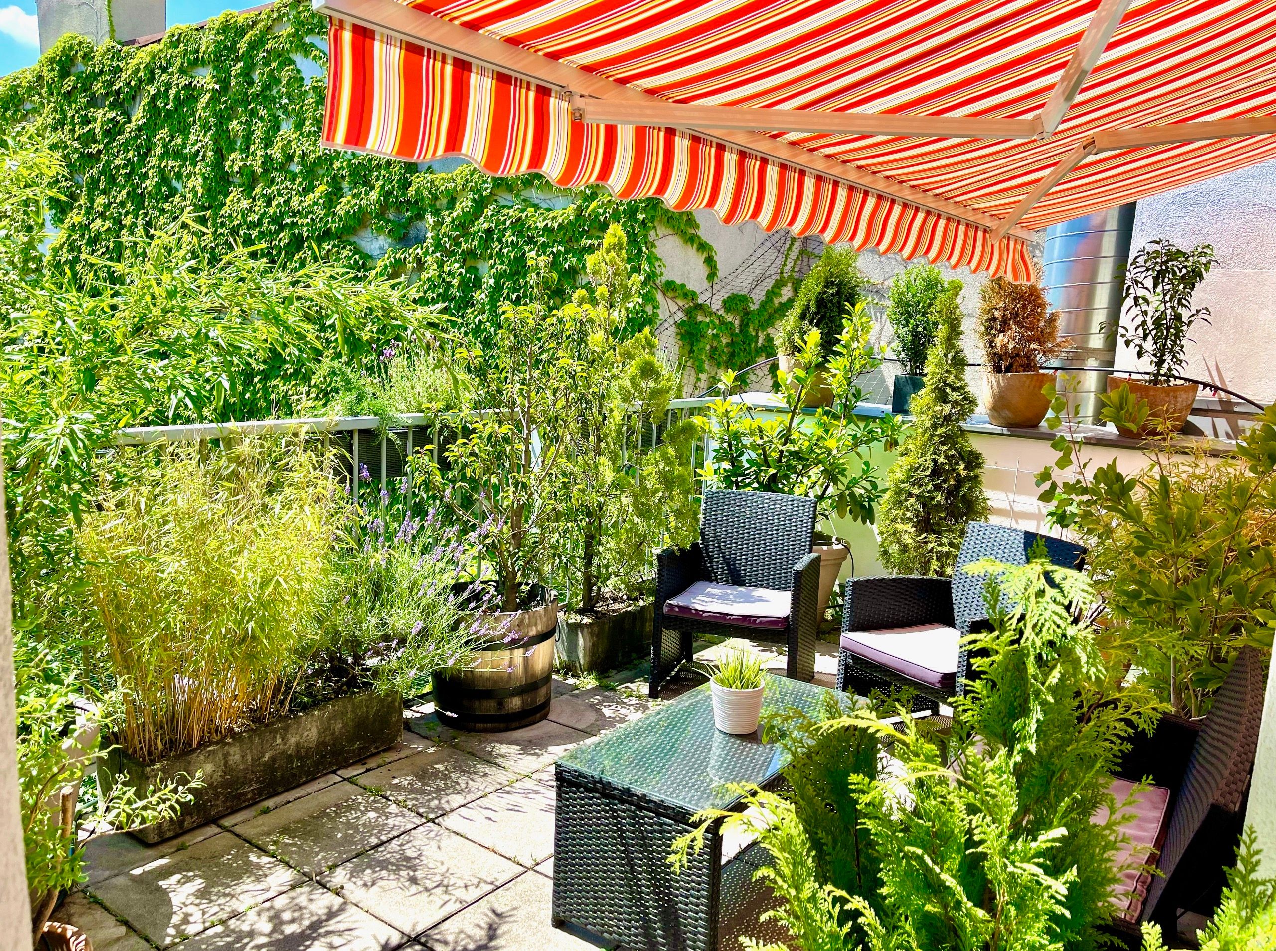 Dachterassenwohnung am Brunnenmarkt all inclusive ab 2.8