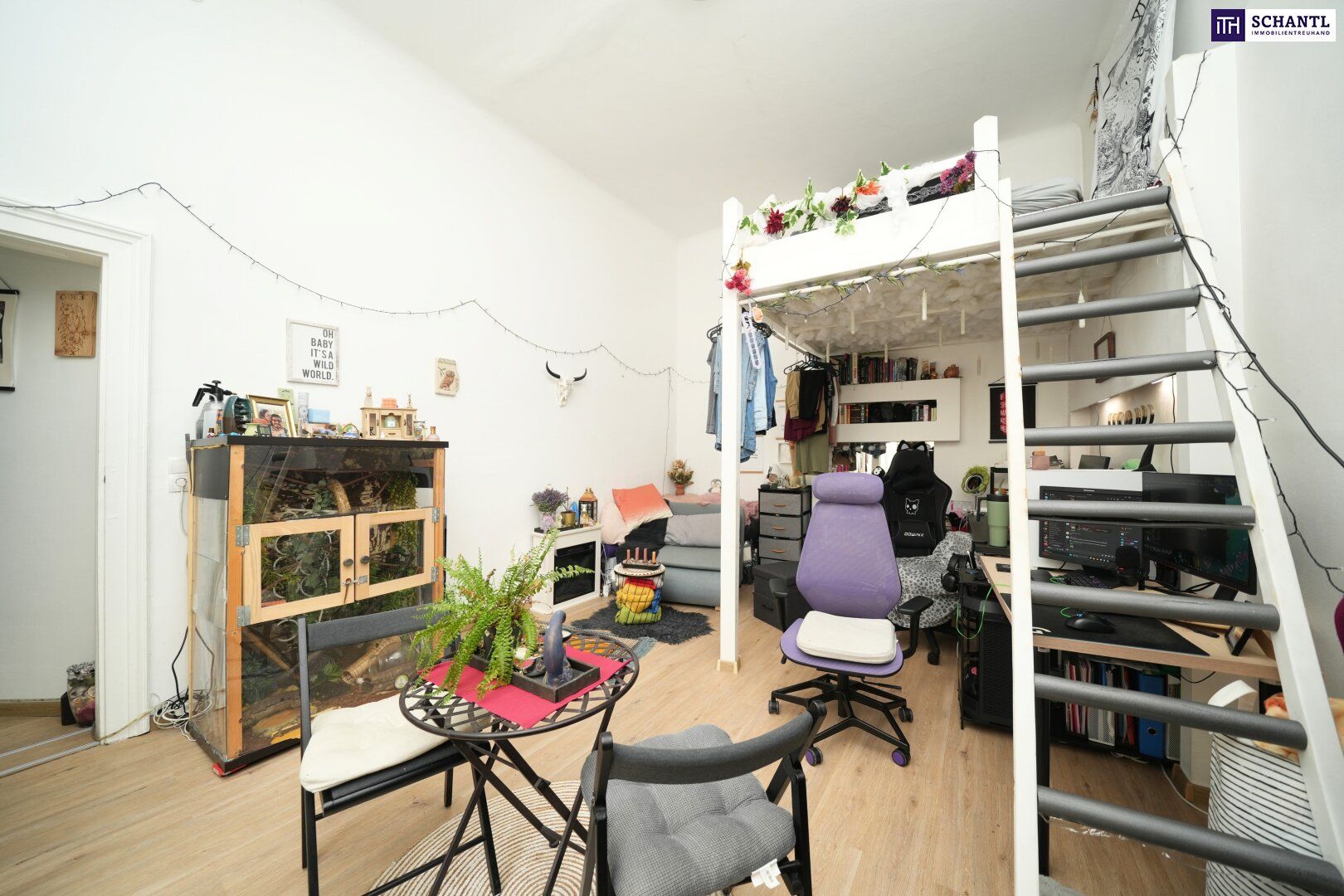 Ruhig in zweiter Reihe zur Straße gelegen!: Vermietete Altbauwohnung in 1060 - Top-Lage! Ideale smarte Anlage!