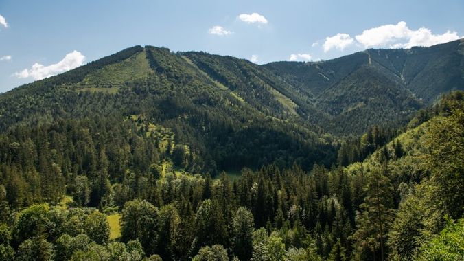Ausblick von der Meinl Villa ins Revier