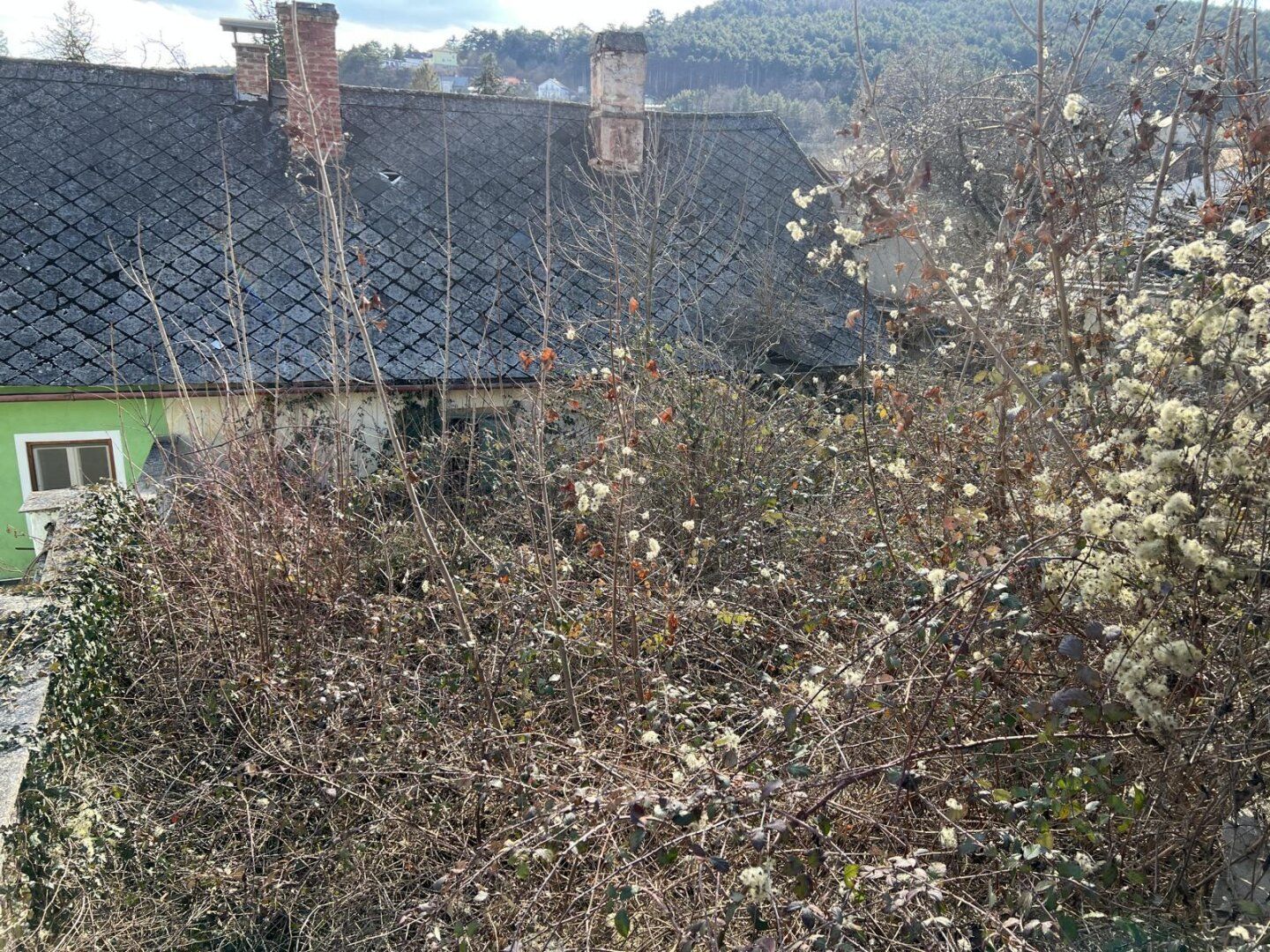Baugrundstück in interessanter Lage und mit großzügigen Bebauungsbestimmungen - Ansicht 2