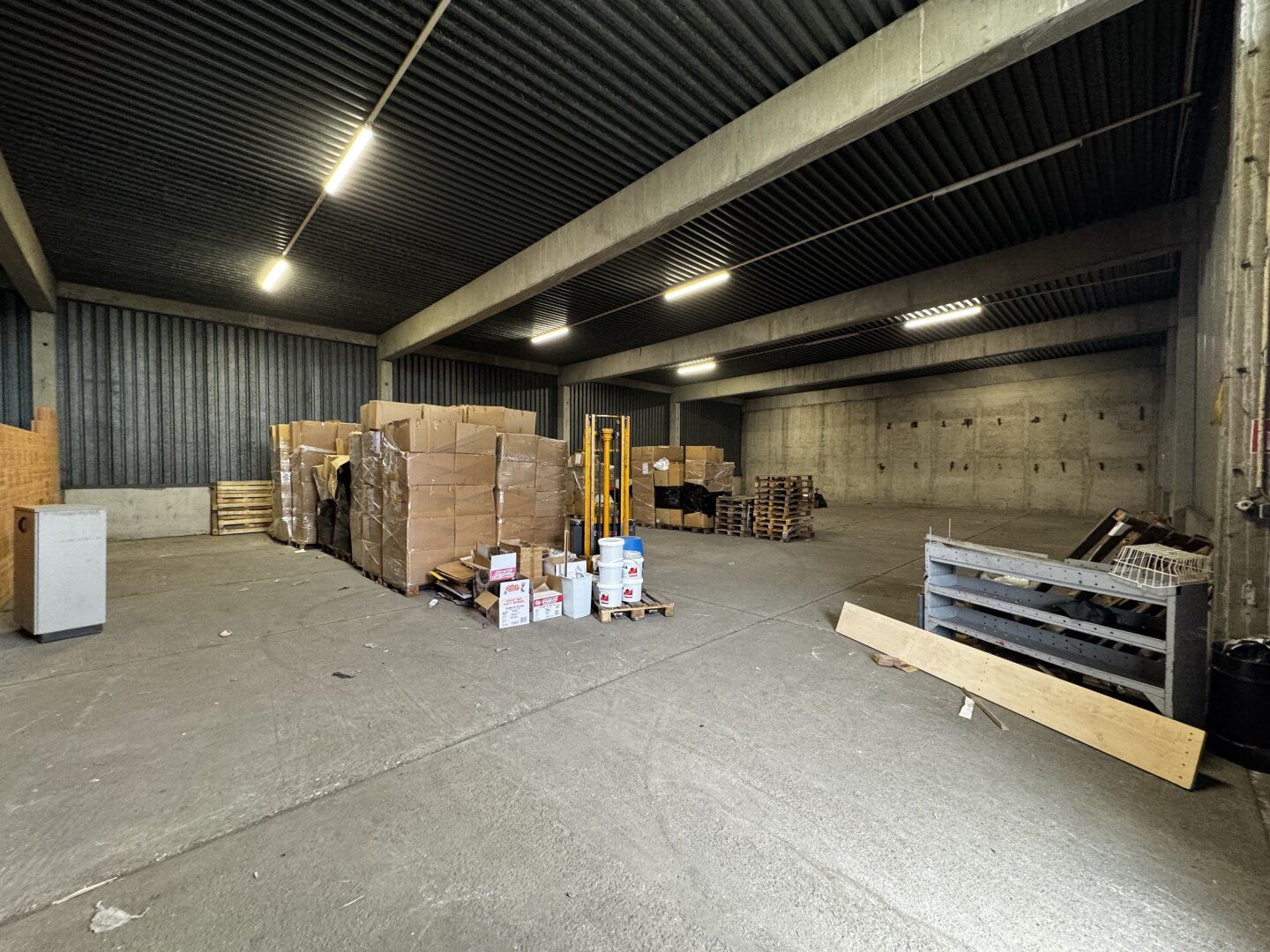 Moderne Halle mit 4 m Höhe und LKW-Zufahrt - ca. 355,5 m² im 21. Bezirk. Flexibel Nutzbar - Ansicht 4
