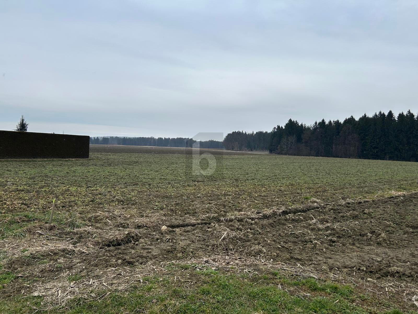 RUHIGE LAGE - ZUSÄTZLICHE FLÄCHEN MÖGLICH