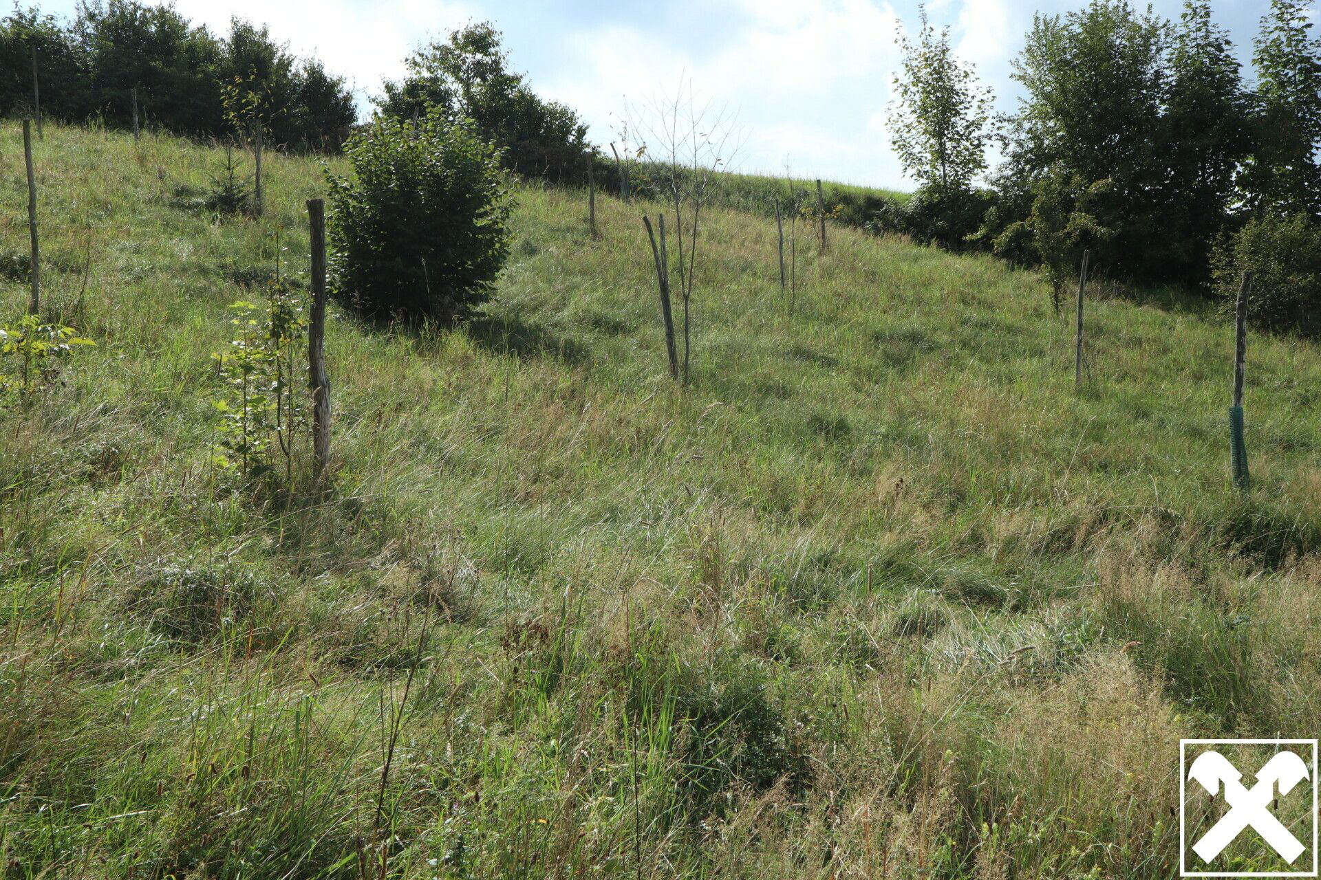 Baugrund in Siedlungslage - Ansicht 4