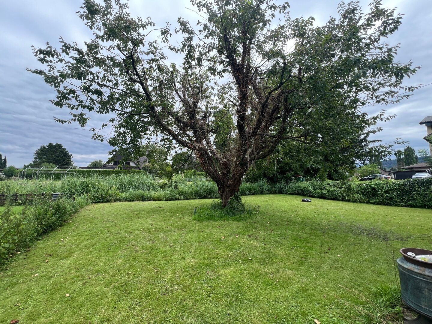 Traumhaftes Grundstück mit Altbestand in Höchst!