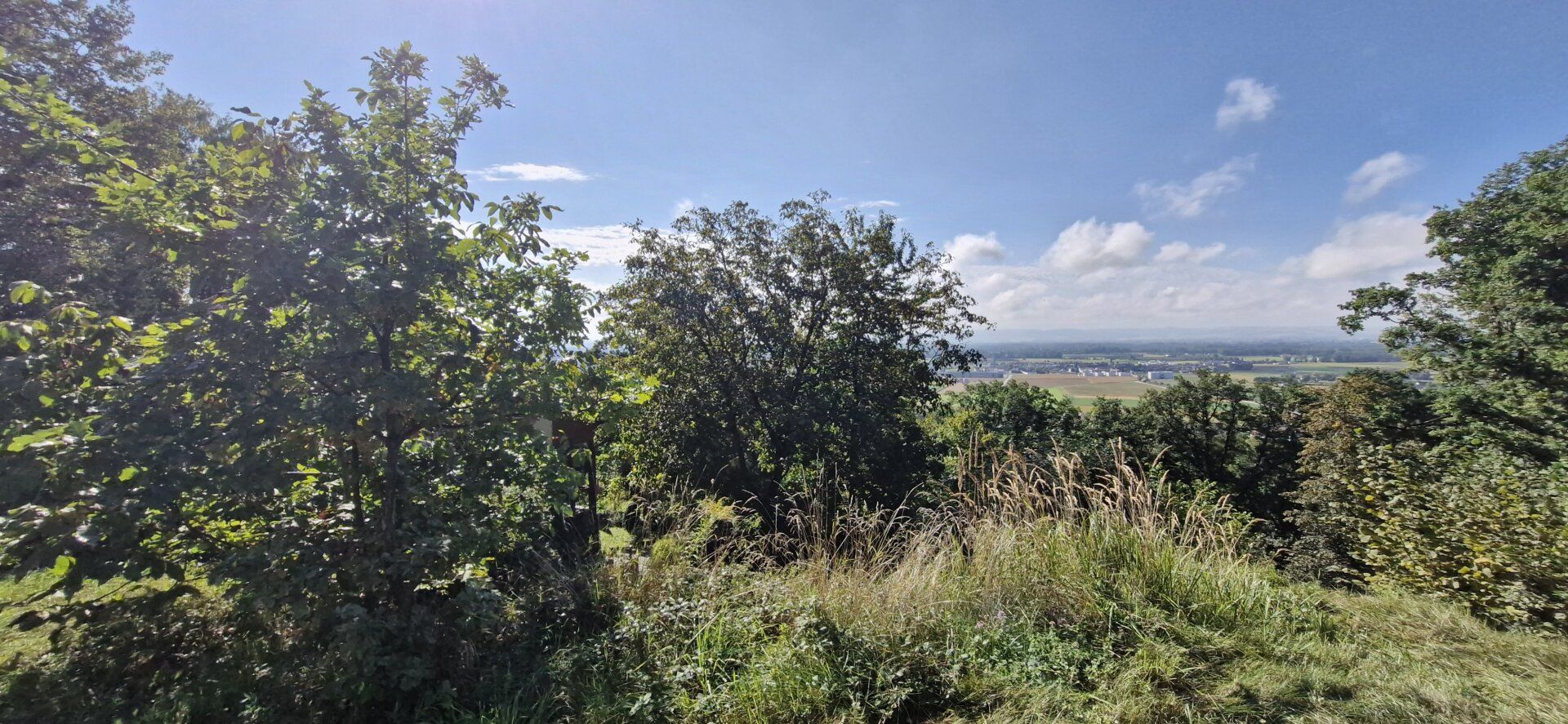 Wohnen mit Weitblick - Sechterberg 85, Feldkirchen an der Donau - Ansicht 4
