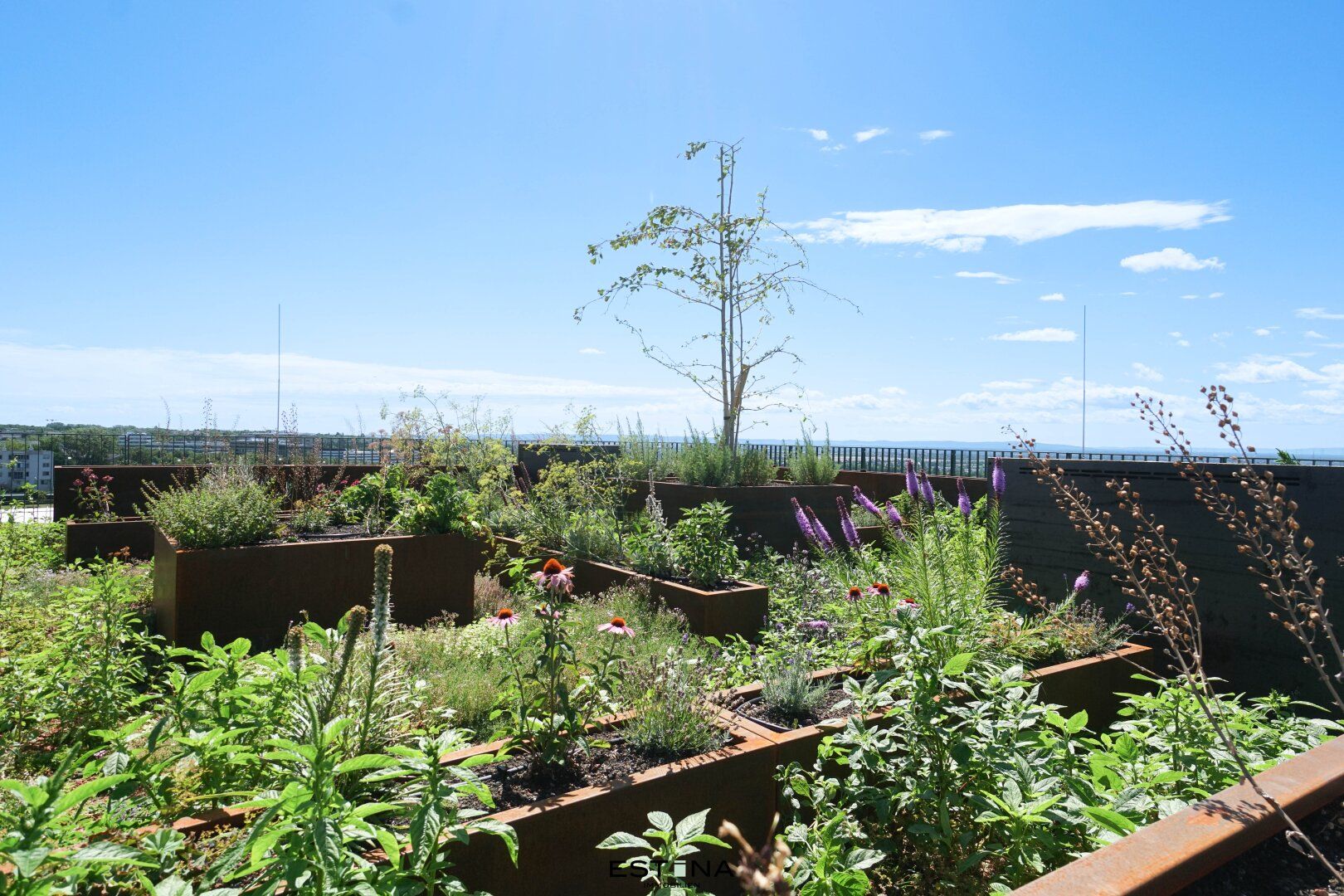 Nähe Erholungsgebiet Wienerberg - Pärchenwohnung mit Balkon - View 6
