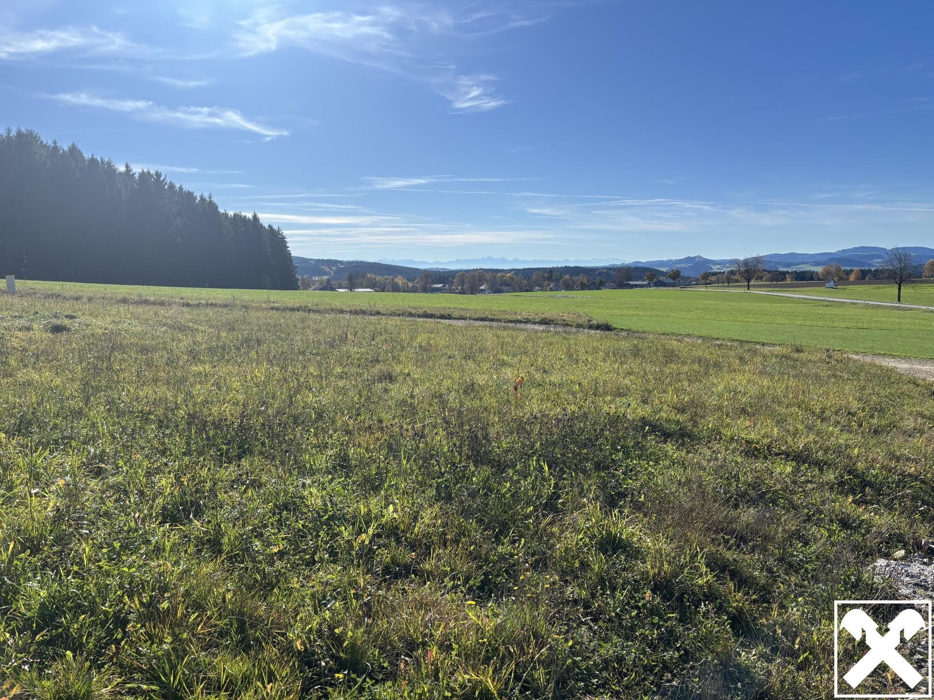 Baugrundstücke Grünbach bei Freistadt - Ansicht 4