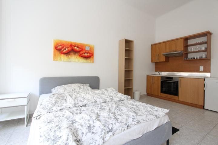 Möblierte 1-Zimmer-Wohnung im Herzen von Wien! Kurzzeitvermietung!