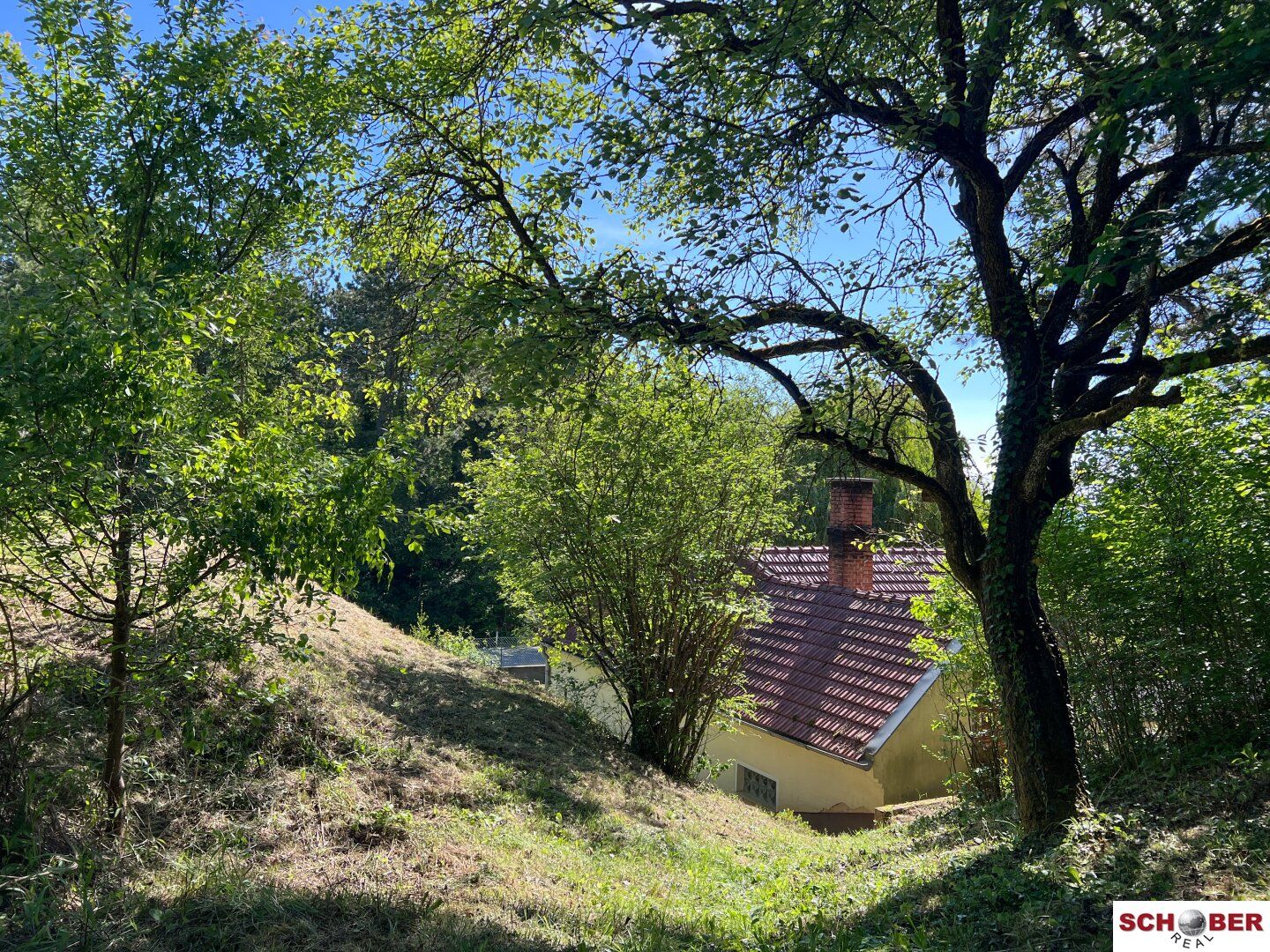 2.061 m² am Waldrand - Grundstück mit vielseitigen Möglichkeiten in Enzesfeld - Ansicht 5