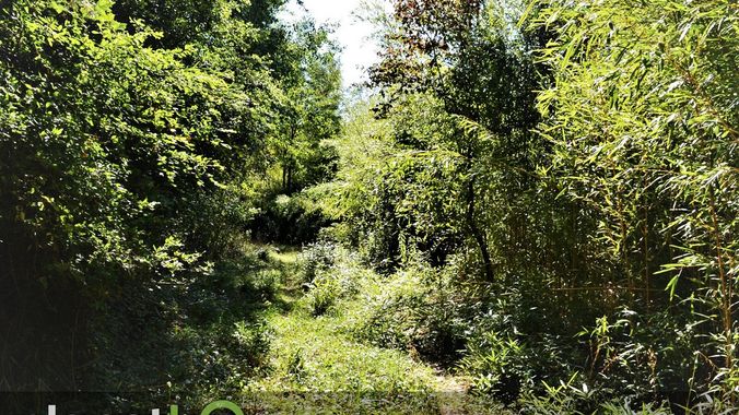 10587_Holweg.jpg
