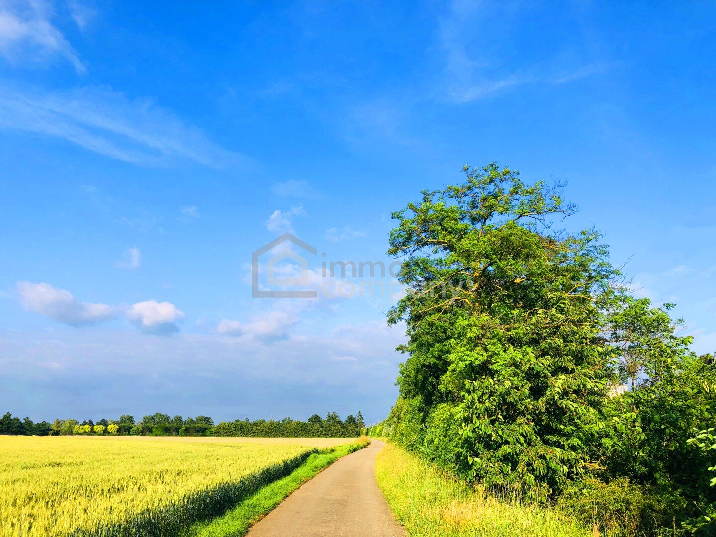 Landwirtschaftliche Nutzfläche
