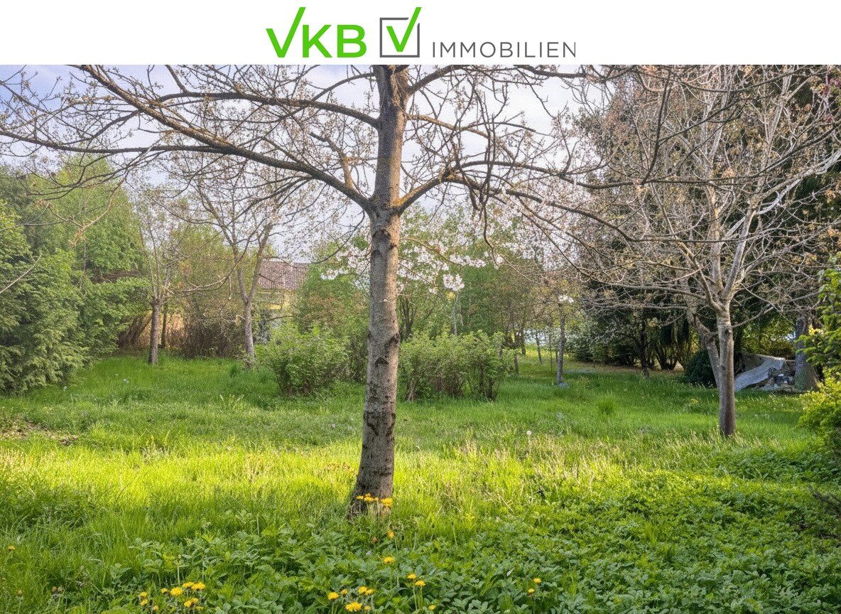 Großzügiges Grundstück nähe Gallneukirchen! - Gemeinde Alberndorf in der Riedmark (GST 2443/1) - Ansicht 2