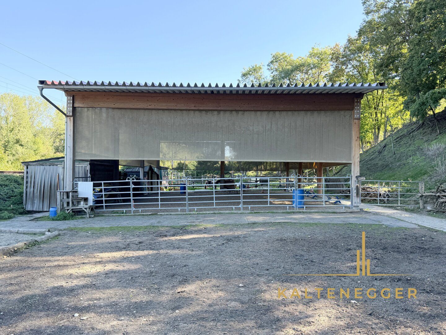 SONJAS RANCH - Pferdehof mit Teich auf Pachtgrund - Ansicht 5