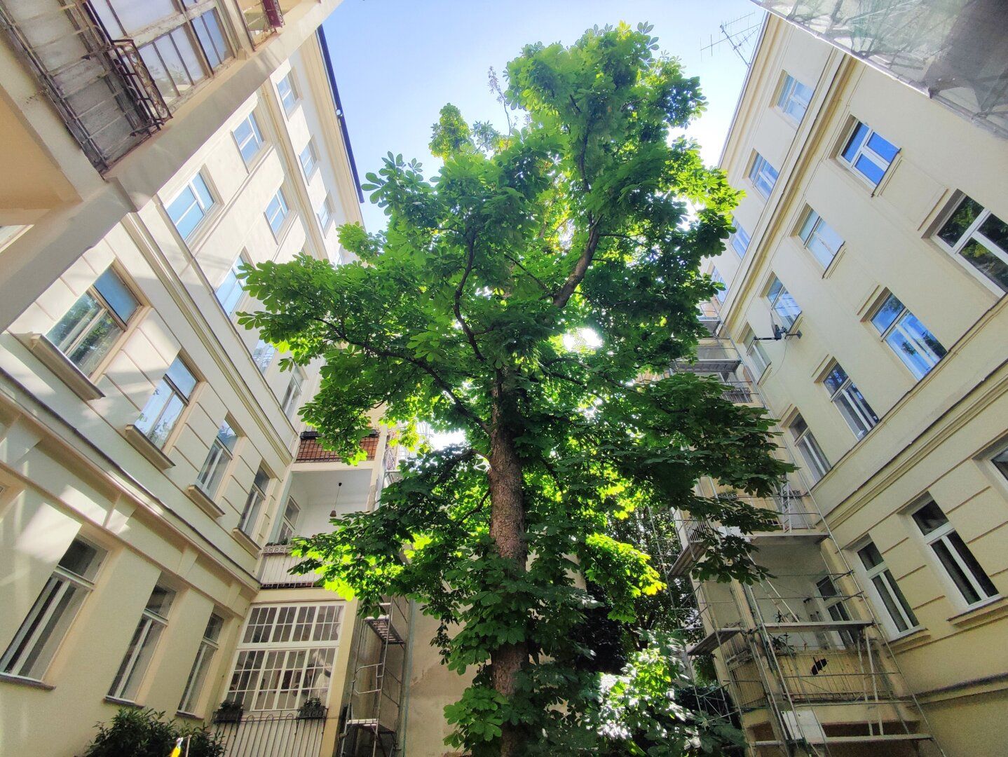 BLICK INS GRÜNE - Sanierungsbedürftiger Altbau in Hofruhelege!