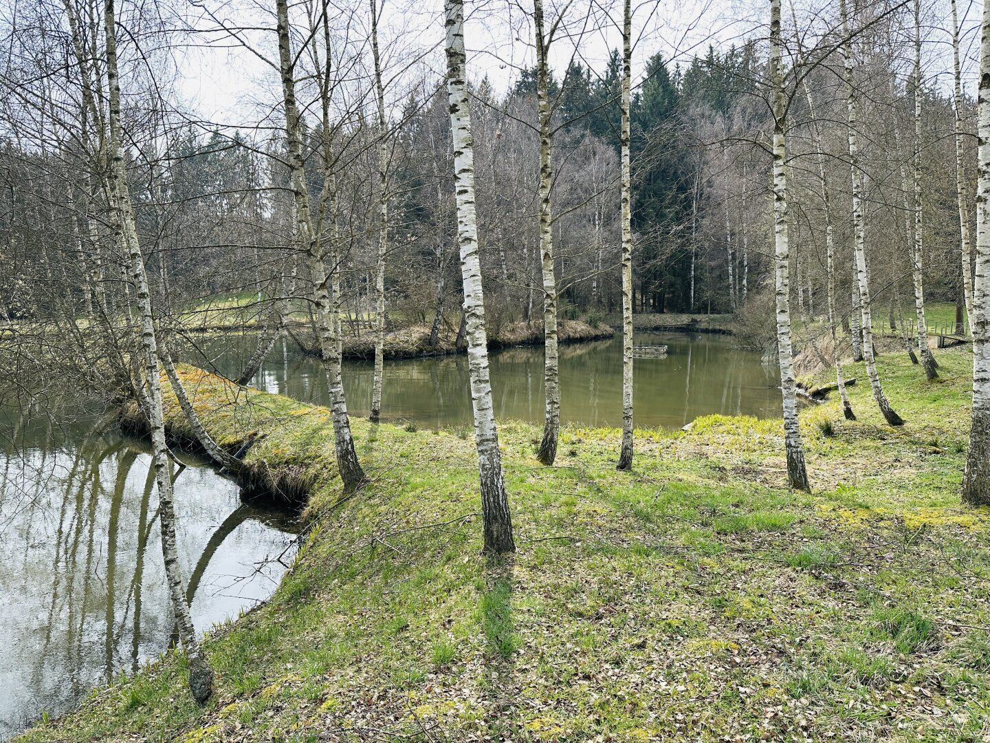 Idyllisches Freizeitdomizil in absoluter Ruhelage - Ein Paradies für Naturliebhaber - Mehr