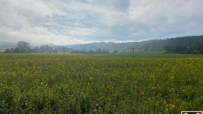 Ackerfläche