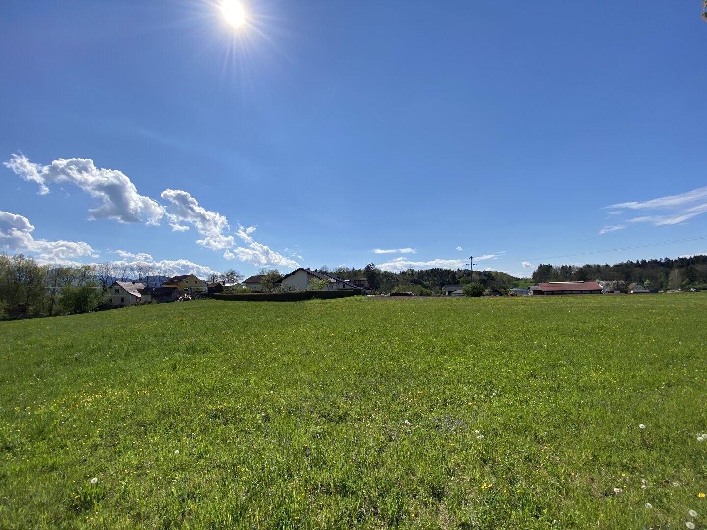 Ihr Zuhause mit Freiraum und Natur pur direkt an der Drau - großzügiges Grundstück mit zahlreichen Möglichkeiten - Ansicht 4